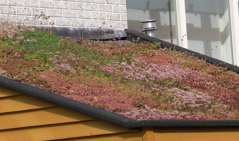 Planted green roof with sedum and flowering plants on a building in an eco-district in Culemborg, Netherlands